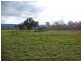 PTA1PPSHBOROKA Blythwood Rd, Halls Gap VIC 3381