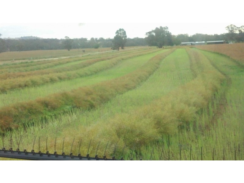 . Barkly Rd, Barkly VIC 3384