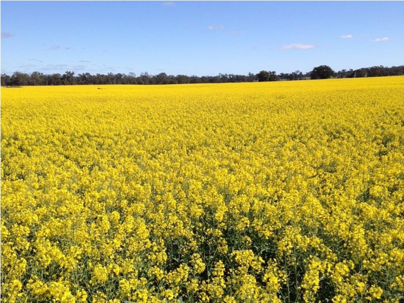 . Barkly Rd, Barkly VIC 3384