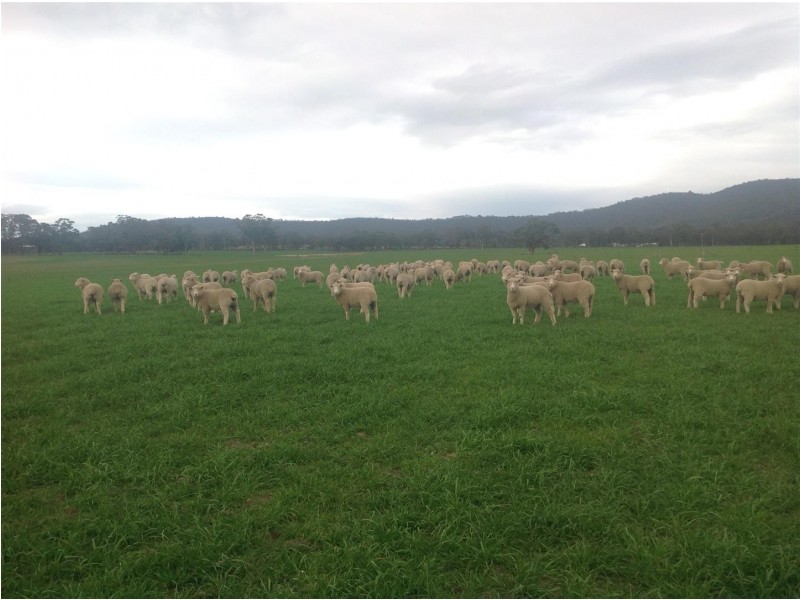 . Barkly Rd, Barkly VIC 3384