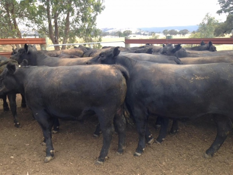 . Barkly Rd, Barkly VIC 3384