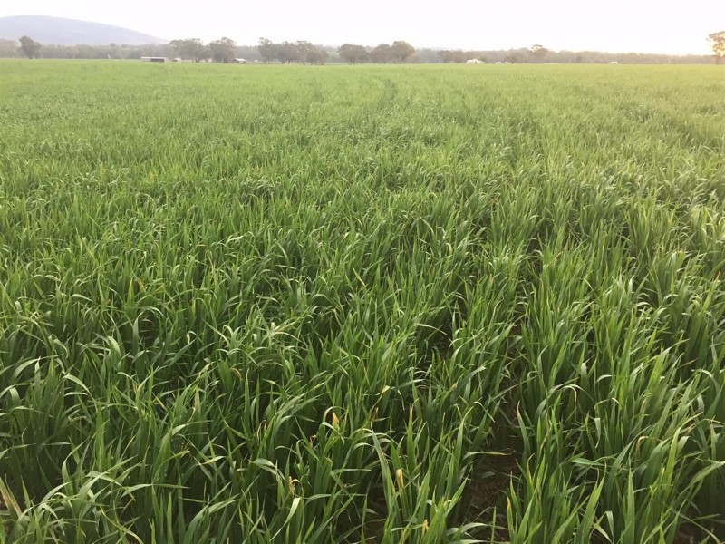 . Barkly Rd, Barkly VIC 3384