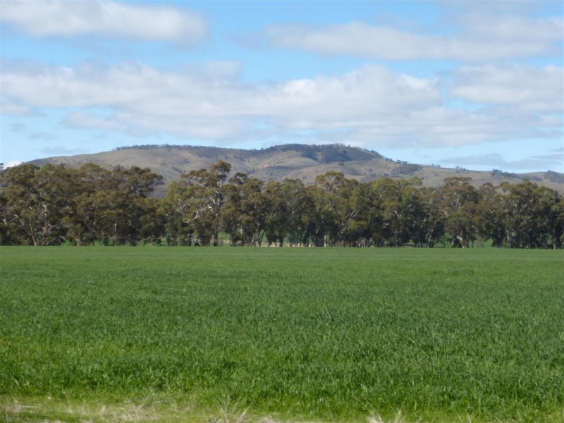 . Barkly Rd, Barkly VIC 3384