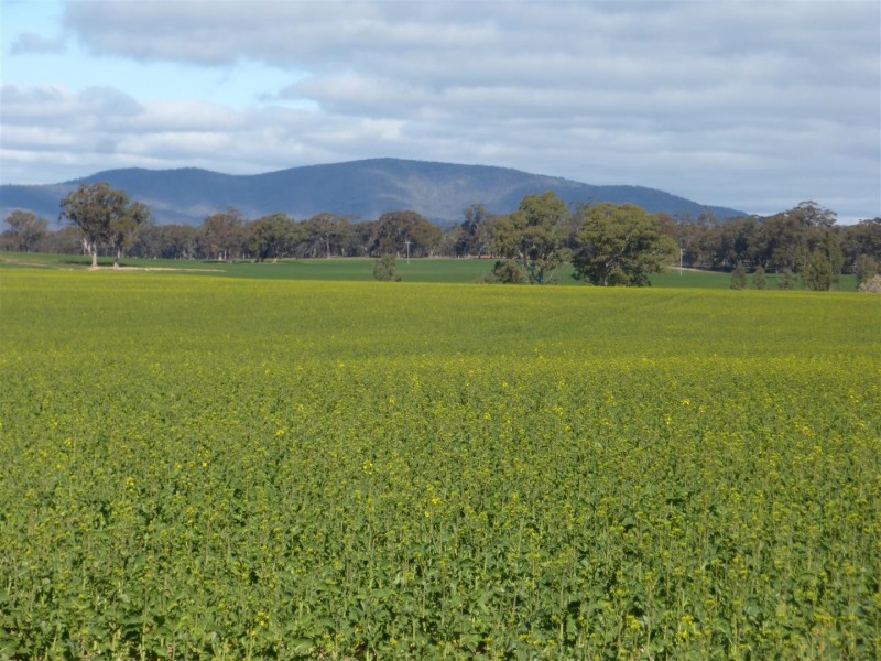. Barkly Rd, Barkly VIC 3384
