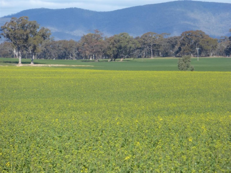 . Barkly Rd, Barkly VIC 3384