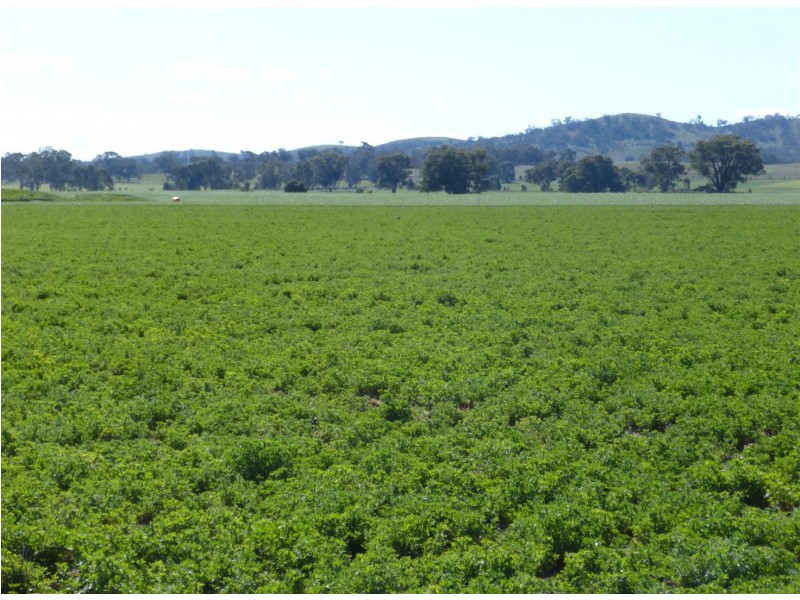 . Barkly Rd, Barkly VIC 3384