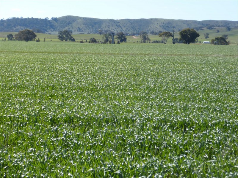 . Barkly Rd, Barkly VIC 3384