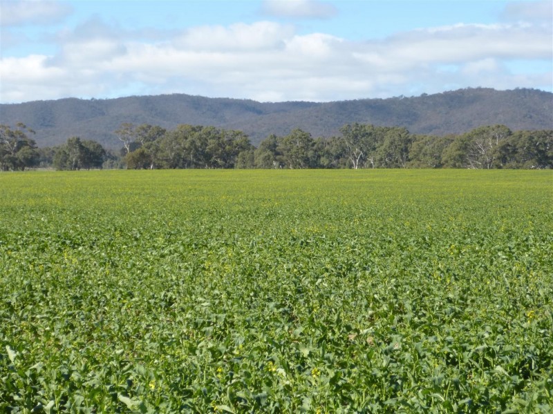 . Barkly Rd, Barkly VIC 3384