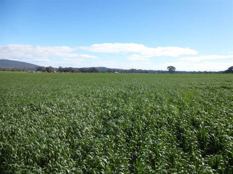 . Barkly Rd, Barkly VIC 3384