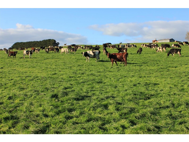 237 Boorcan Road, Boorcan VIC 3265