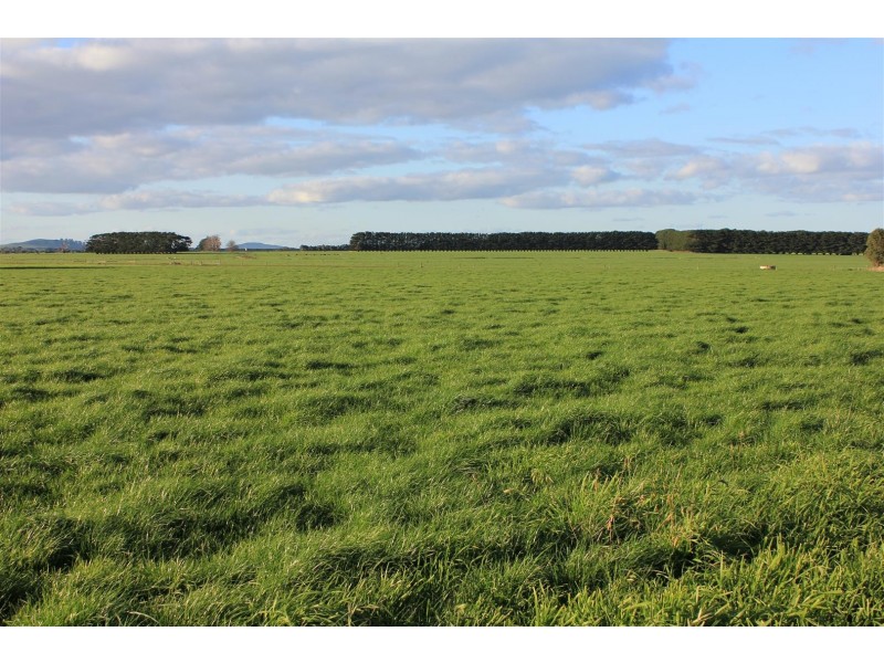 237 Boorcan Road, Boorcan VIC 3265