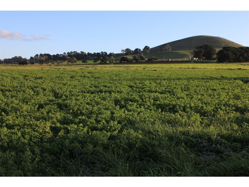 237 Boorcan Road, Boorcan VIC 3265