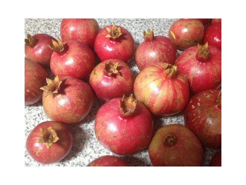 125 Powers Creek Road, Edenhope VIC 3318