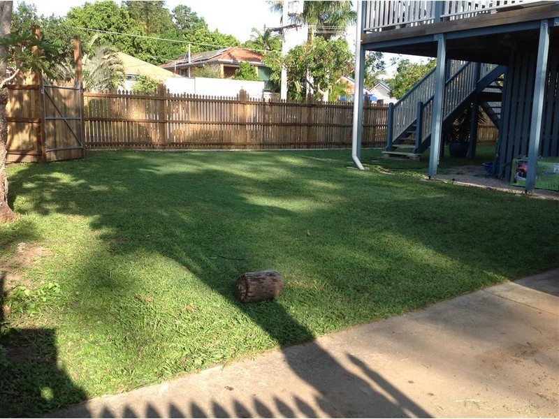31 Donald Street, Woody Point QLD 4019