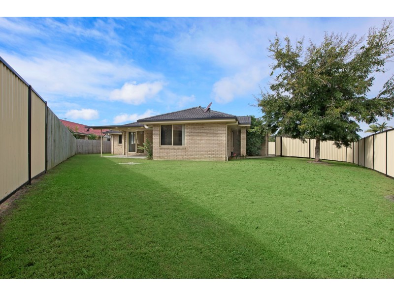 19 Cambridge Street, Rothwell QLD 4022