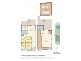 97 Prince Edward Parade, Scarborough QLD 4020 Floorplan