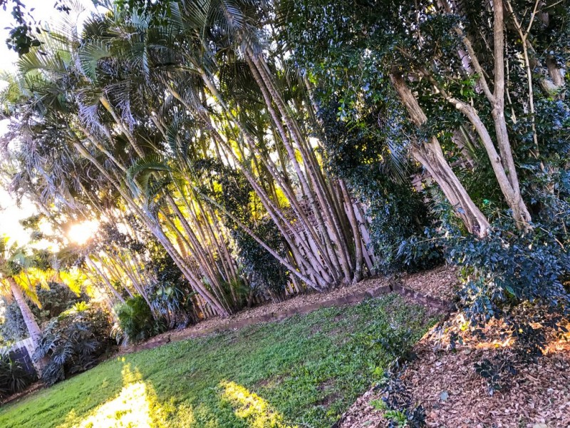 64 McNeill Road, Kallangur QLD 4503