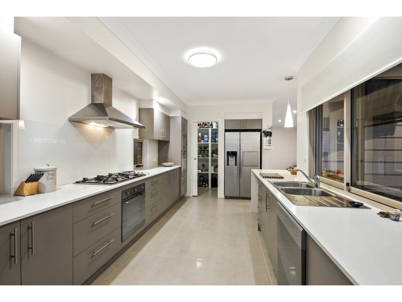 41 Matisse Street, Carseldine QLD 4034