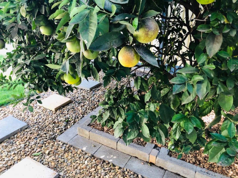 117 Anzac Avenue, Redcliffe QLD 4020