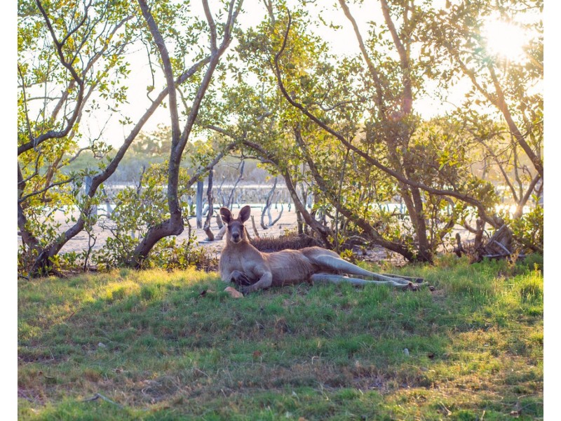 9 Frost Street, Clontarf QLD 4019