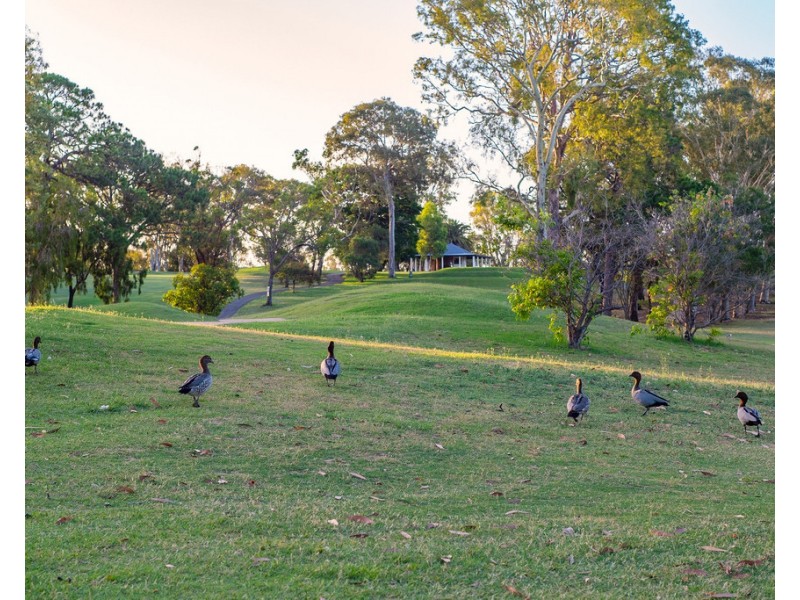 9 Frost Street, Clontarf QLD 4019