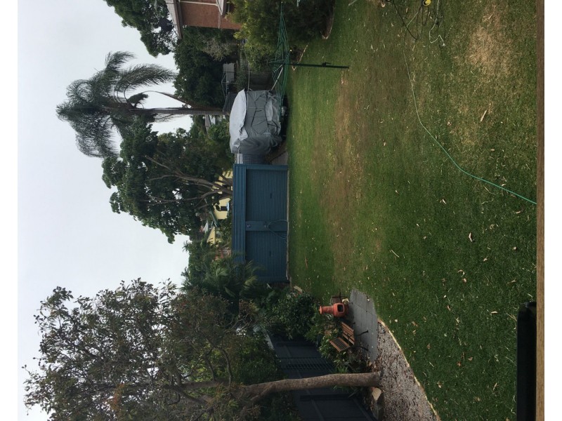 38 Georgina Street, Woody Point QLD 4019