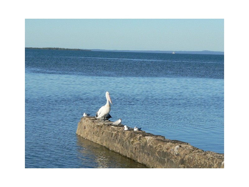 (Lot 20) 42 Cameron Parade, Wynnum QLD 4178