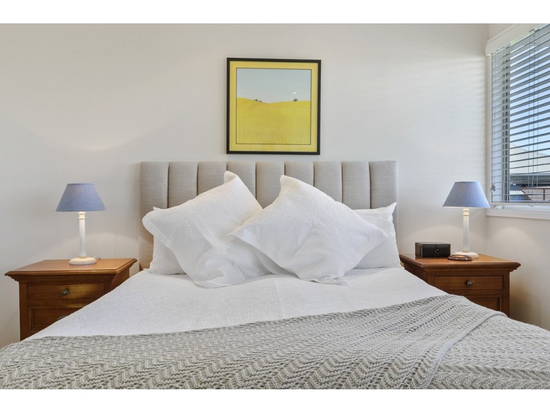 99 RAEBURN STREET, Manly West QLD 4179