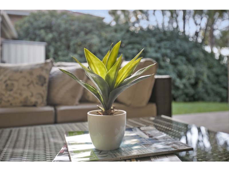 3 CONSTELLATION WAY, Wynnum QLD 4178