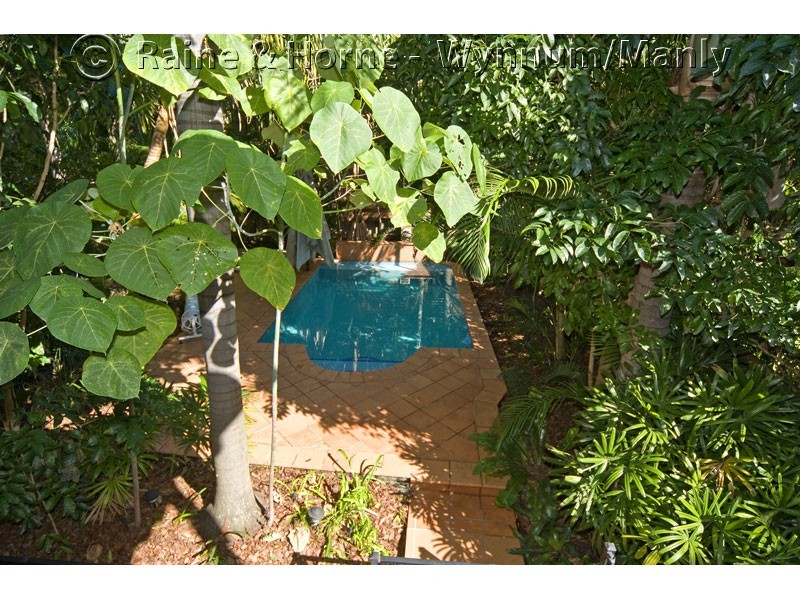 117 Stratton Terrace, Manly QLD 4179