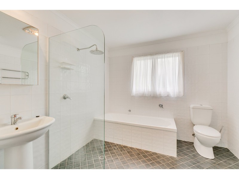 3 Cornucopia Street, Manly West QLD 4179