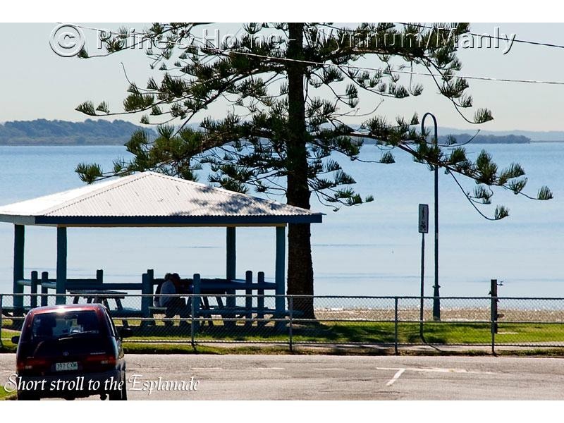 22a Cedar St, Wynnum QLD 4178