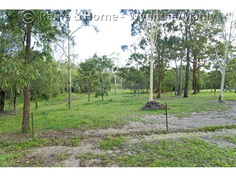 93 Warriewood Street, Chandler QLD 4155