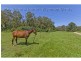 304 Hemmant-Tingalpa Road, Hemmant QLD 4174