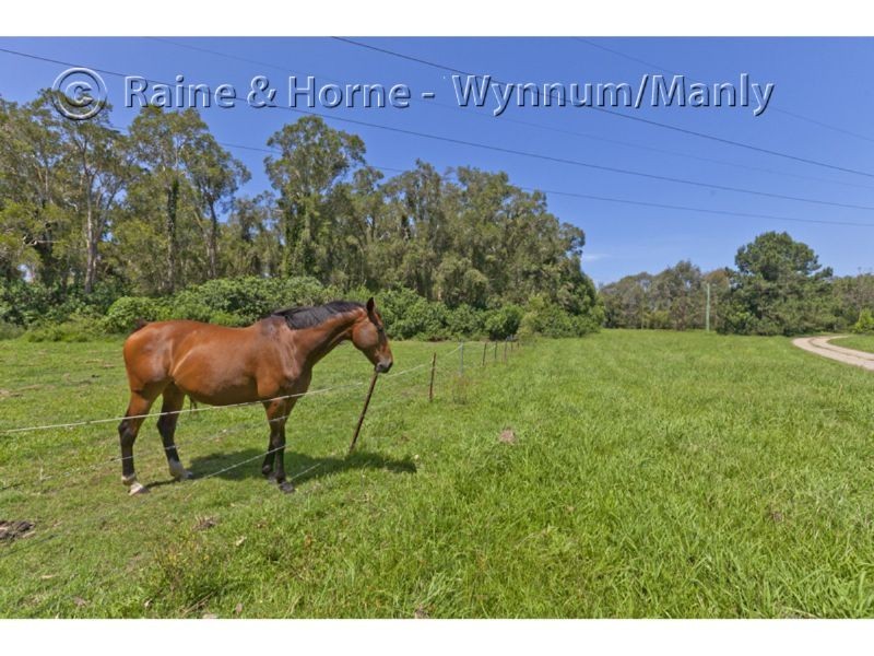 304 Hemmant-Tingalpa Road, Hemmant QLD 4174