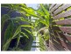 18 Ogilvie Street, Wynnum QLD 4178