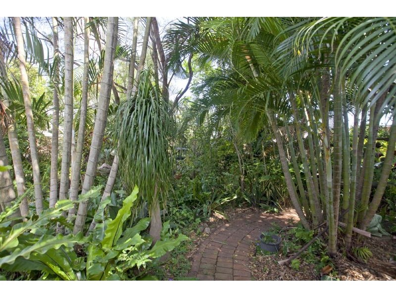29 Berrimilla Street, Manly West QLD 4179