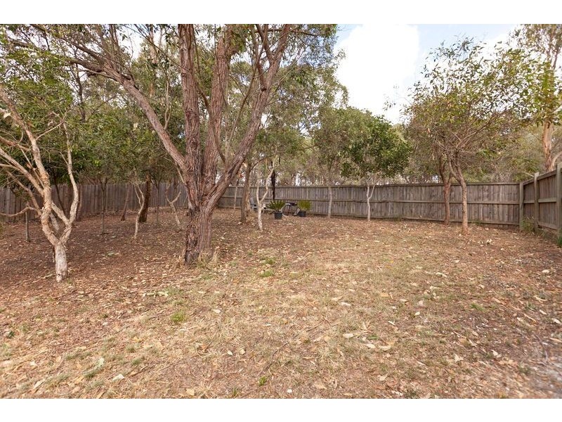 11 Barwin Street, Wakerley QLD 4154