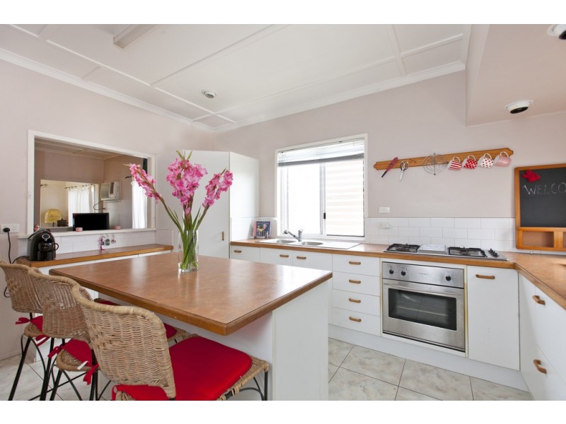 17 Chestnut Street, Wynnum QLD 4178