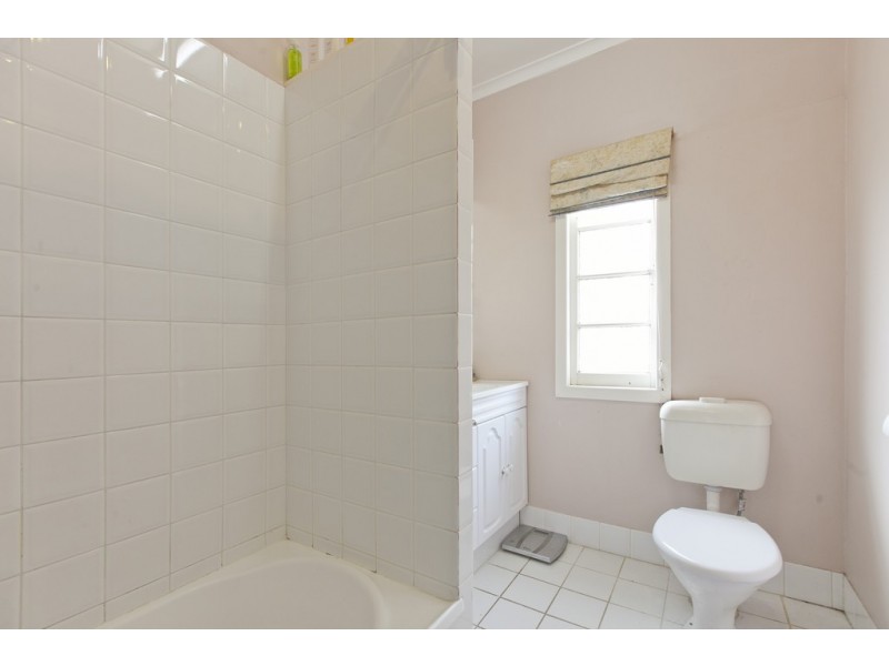 17 Chestnut Street, Wynnum QLD 4178