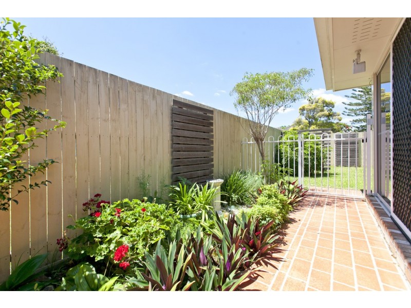 36 Faine Street, Manly West QLD 4179