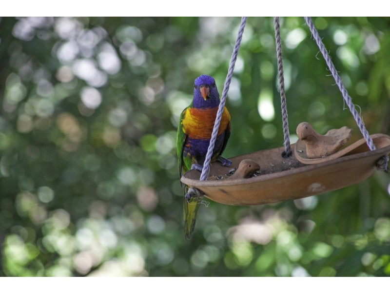 57 Regent Street, Wynnum West QLD 4178