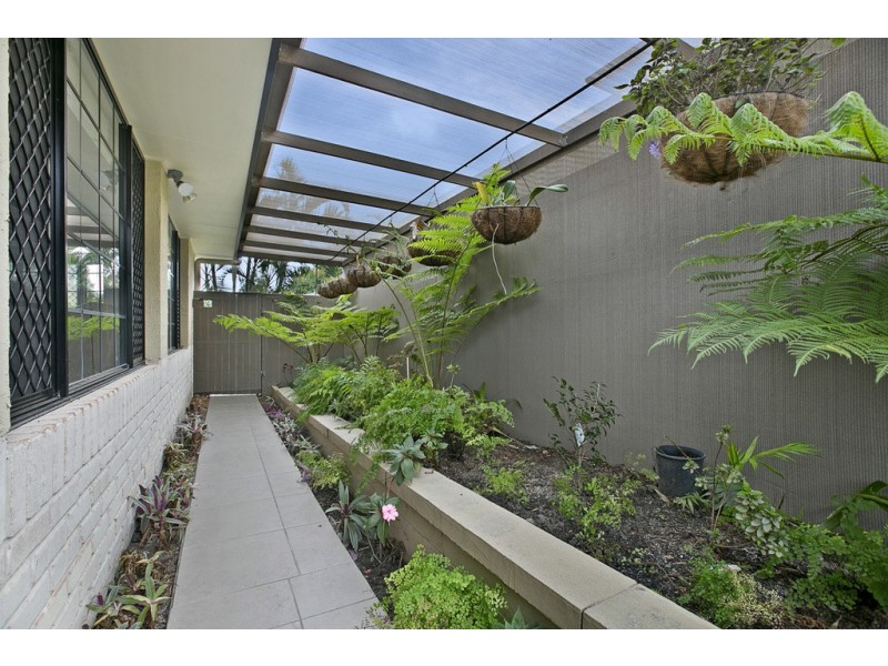 5 Brookside Place, Lota QLD 4179
