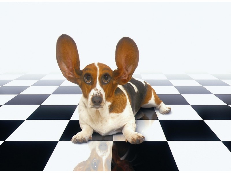 306 Duffield Road, Clontarf QLD 4019