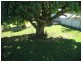 141 Victoria Avenue, Margate QLD 4019