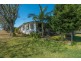 66 Donald Street, Woody Point QLD 4019