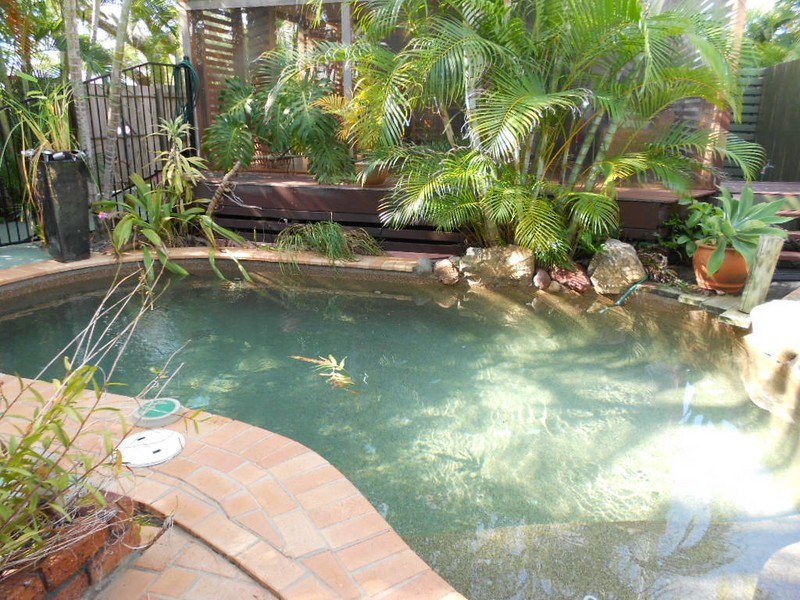 14 Bell Street, Woody Point QLD 4019