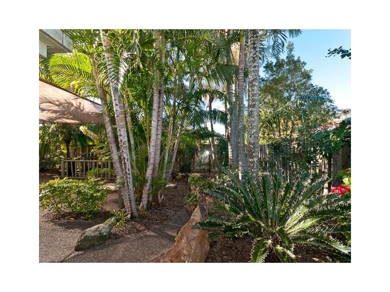 41 Canterbury Street, Bracken Ridge QLD 4017