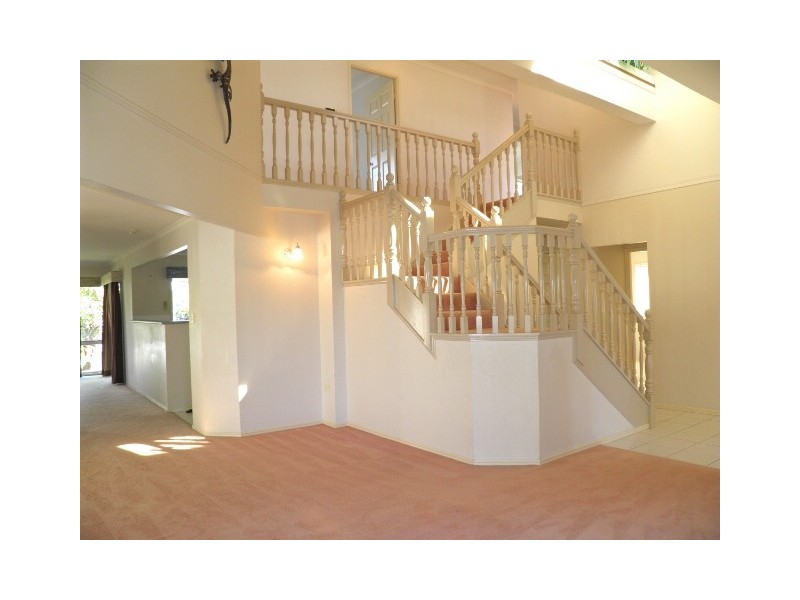 12 Nautilus Court, Newport QLD 4020