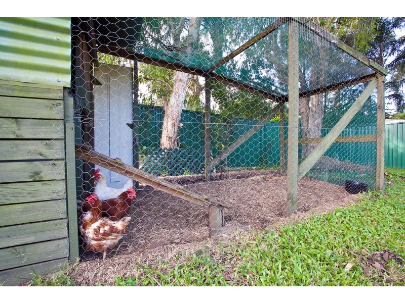 16 Wendy Crescent, Clontarf QLD 4019